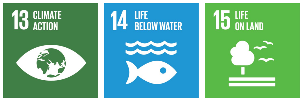 Sustainable Development goals 14. Sustainable Development 13 goal climate Action. Sustainable Development goals 13. Цели устойчивого развития ООН. Actions 14
